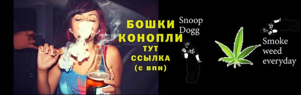 Альфа ПВП Дмитровск
