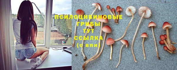 круглые Дмитриев