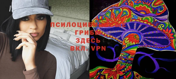 круглые Дмитриев